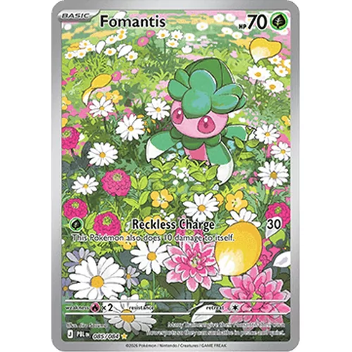 Fomantis (me05-085)