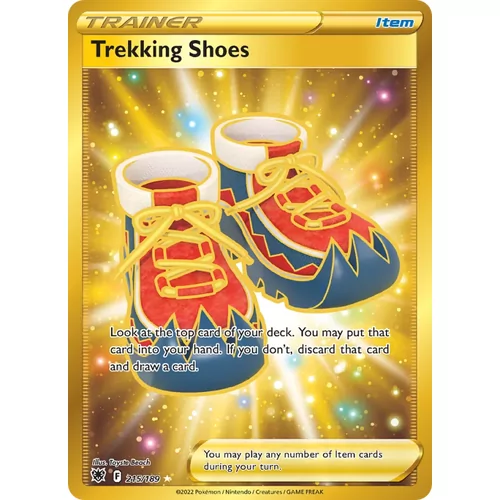 Trekking Shoes (swsh10-215)