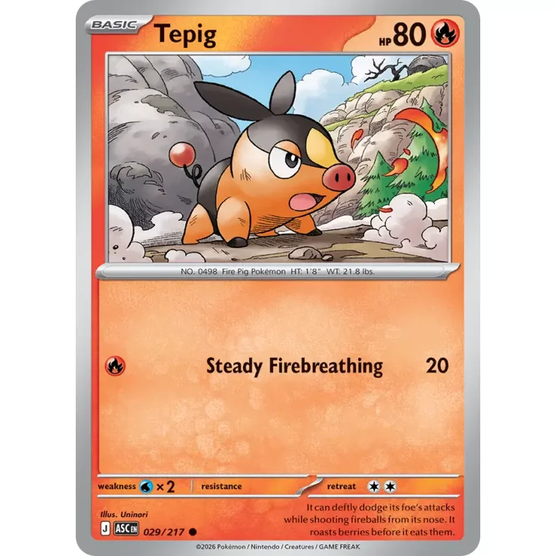 Tepig (me02.5-029)